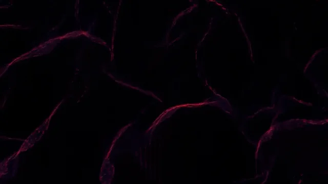 loop on Vimeo