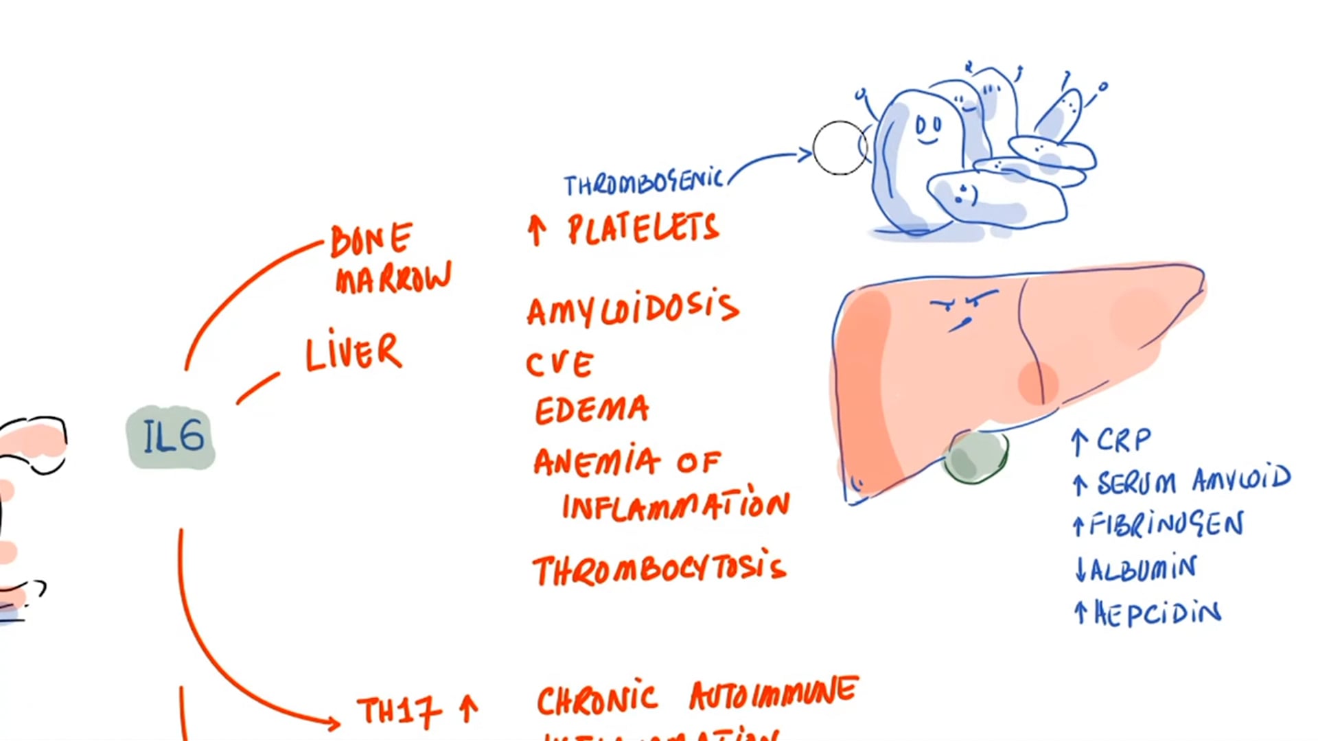 Low Dose Naltrexone (LDN) - Mechanism of Action