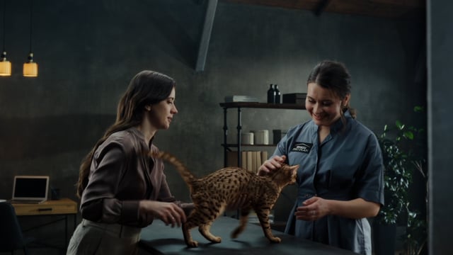 Nestle Purina/McCann/Pro Plan Sterilised