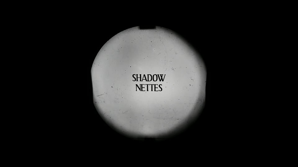 Shadow Nettes