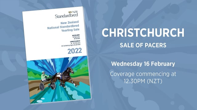 NZB Standardbred Yearling Sale 2022 Day 3 - Preview