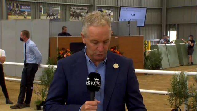 NZB Standardbred Yearling Sale 2022 Day 3 - Preview - Lot 315