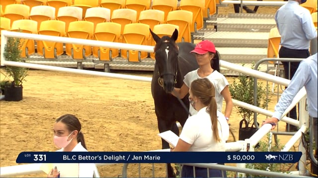NZB Standardbred Yearling Sale 2022 Day 3 - Lots 330 - 336