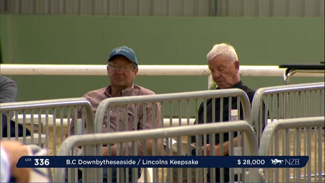 NZB Standardbred Yearling Sale 2022 Day 3 - Lots 336 - 343