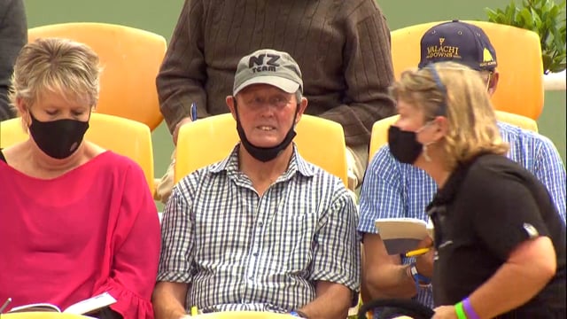 NZB Standardbred Yearling Sale 2022 Day 3 - Lots 358 - 364