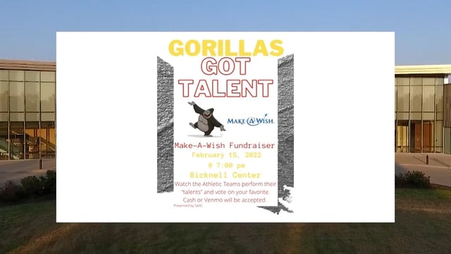 2022-2-15 Gorillas Got Talent