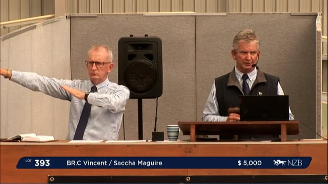 NZB Standardbred Yearling Sale 2022 Day 3 - Lots 393 - 400