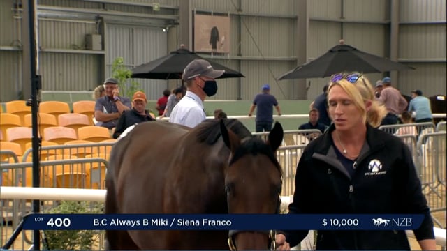 NZB Standardbred Yearling Sale 2022 Day 3 - Lots 400 - 407