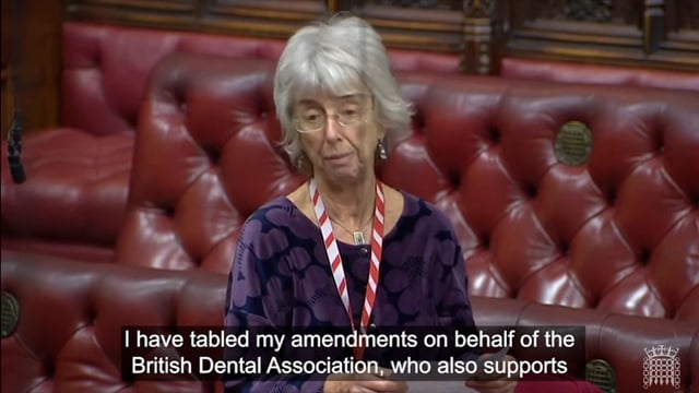 Lords argue dentists should not be border guards