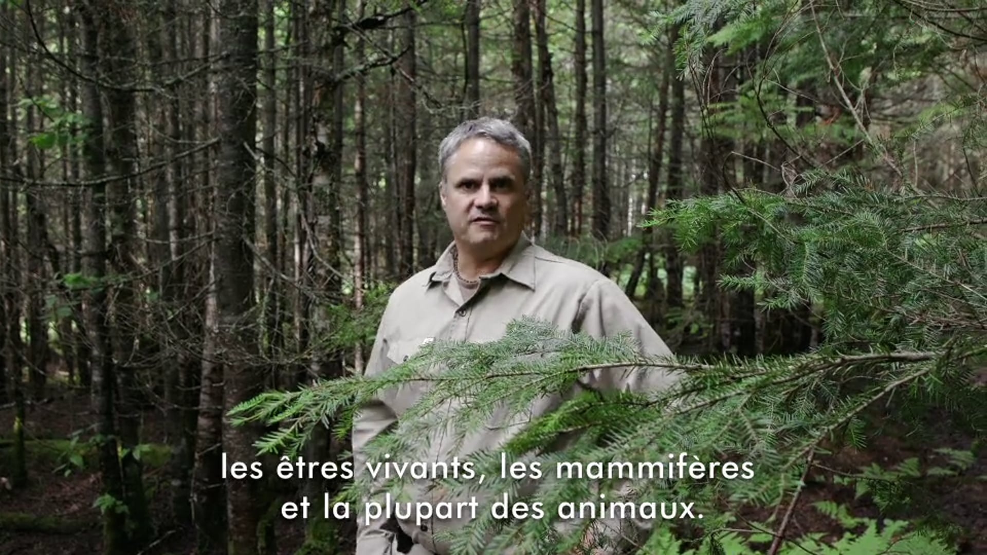Denis Meunier, ingénieur forestier