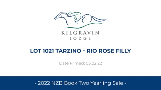 Lot 1021