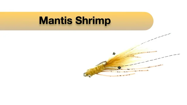 Latest Fly Fishing News and Reports - The Mantis Shrimp - Royal