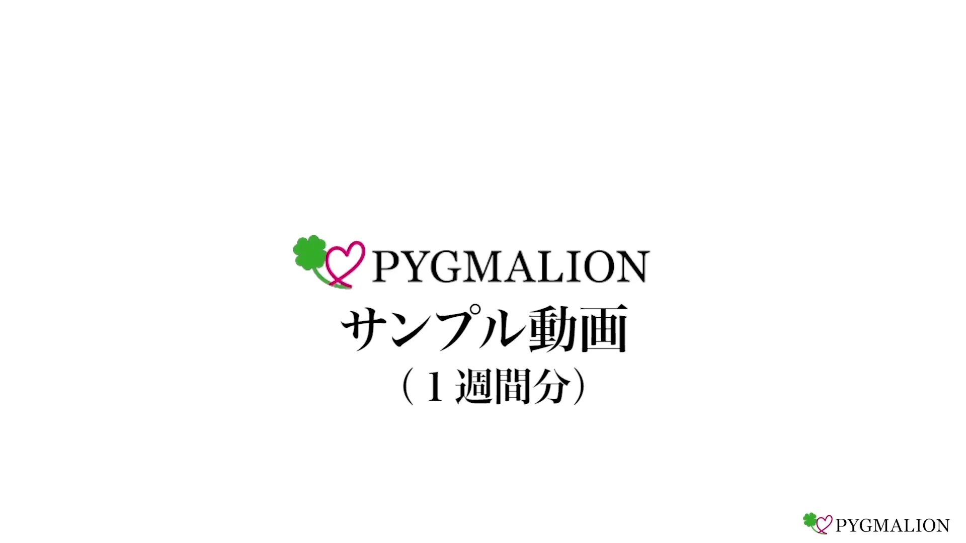ピグマリオン　レッスンテキスト　基本と初級　約2年分 ピグマリオンレッスンテキスト基本と初級約2年分