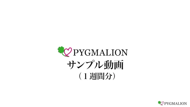 ピグマリオン　レッスンテキスト　基本と初級　約2年分 ピグマリオンレッスンテキスト基本と初級約2年分