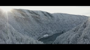 SUR LA PISTE DU LYNX