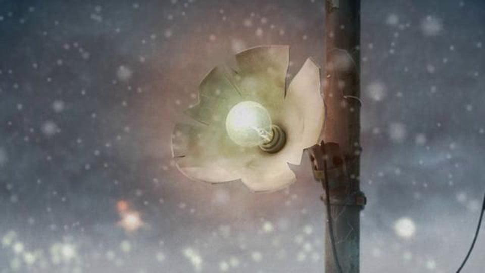 灯花（The light）