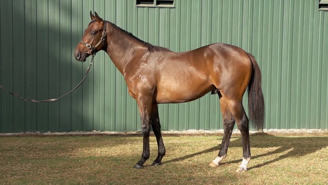 Lot 268