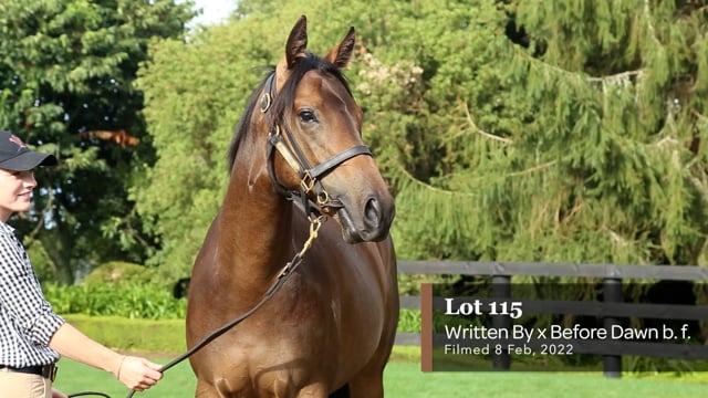 Lot 115