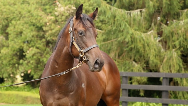 Lot 163