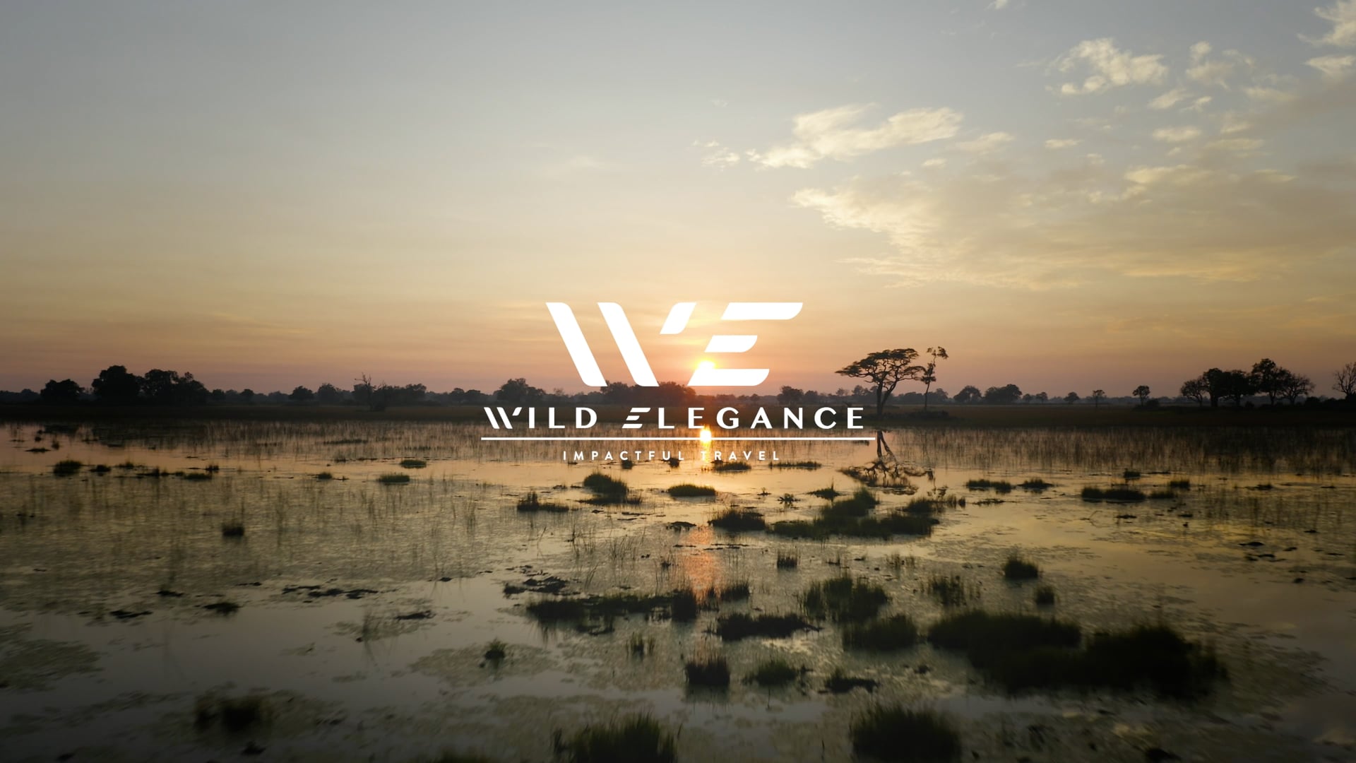 Experience Africa with Wild Elegance