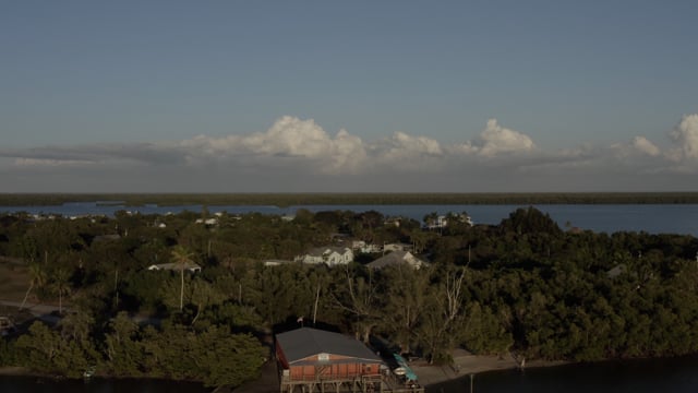 Overlooking the Florida Everglades. Southwest Florida. 