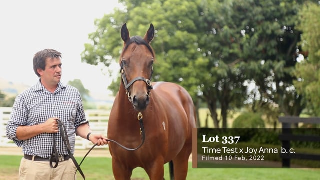 Lot 337