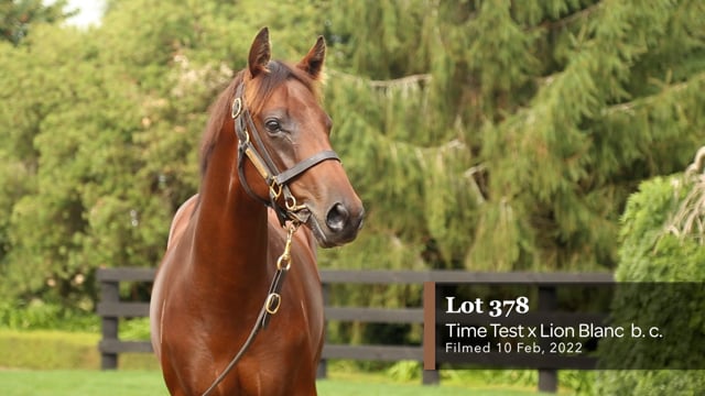 Lot 378