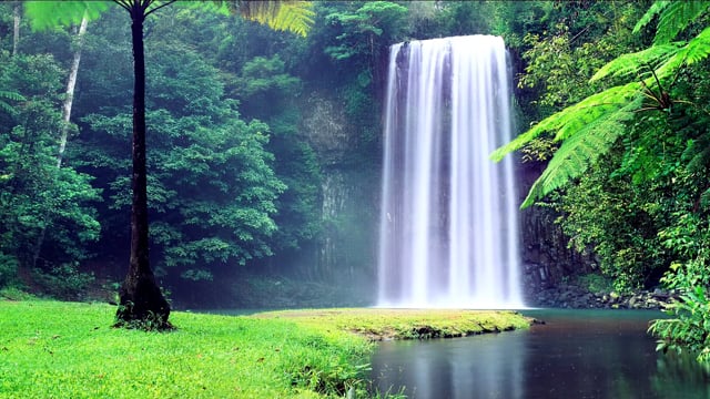 Cảm nhận vẻ đẹp tuyệt vời của thiên nhiên tại thác nước nhiệt đới. Hãy ngắm nhìn những dòng nước ngầm cùng hoa và cây xanh mơn mởn, thư giãn tinh thần và tìm lại sự cân bằng với thiên nhiên trong hình ảnh này.