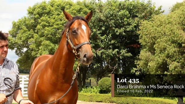 Lot 435