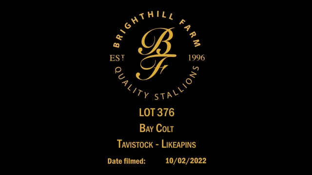 Lot 376