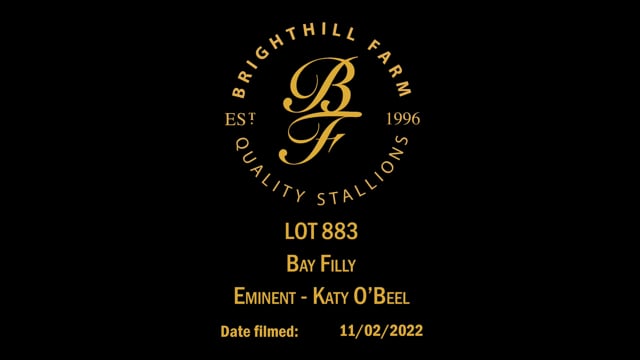 Lot 883