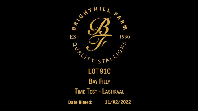 Lot 910