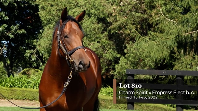 Lot 810