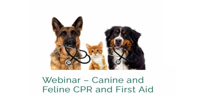 what is the goal of cpr in dogs
