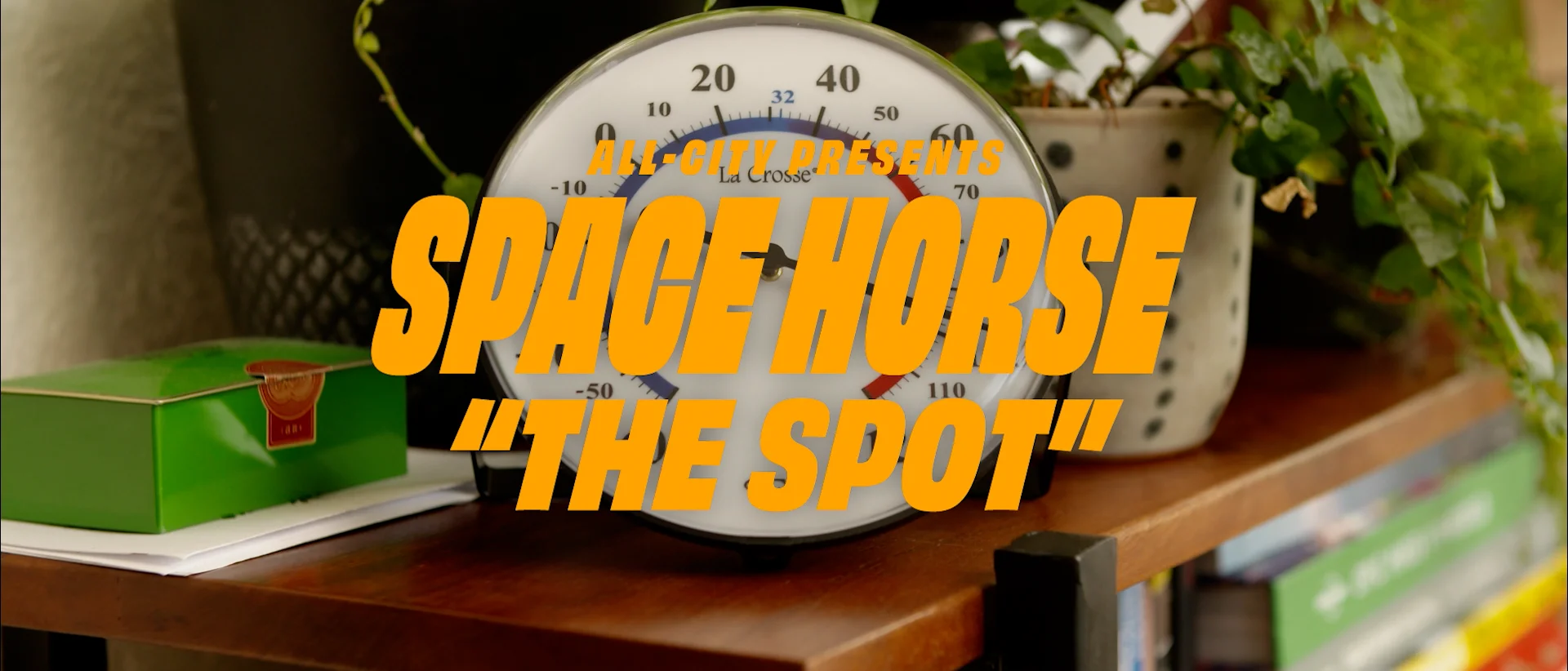 ALL-CITY Space Horse Disc Frame Set 2022