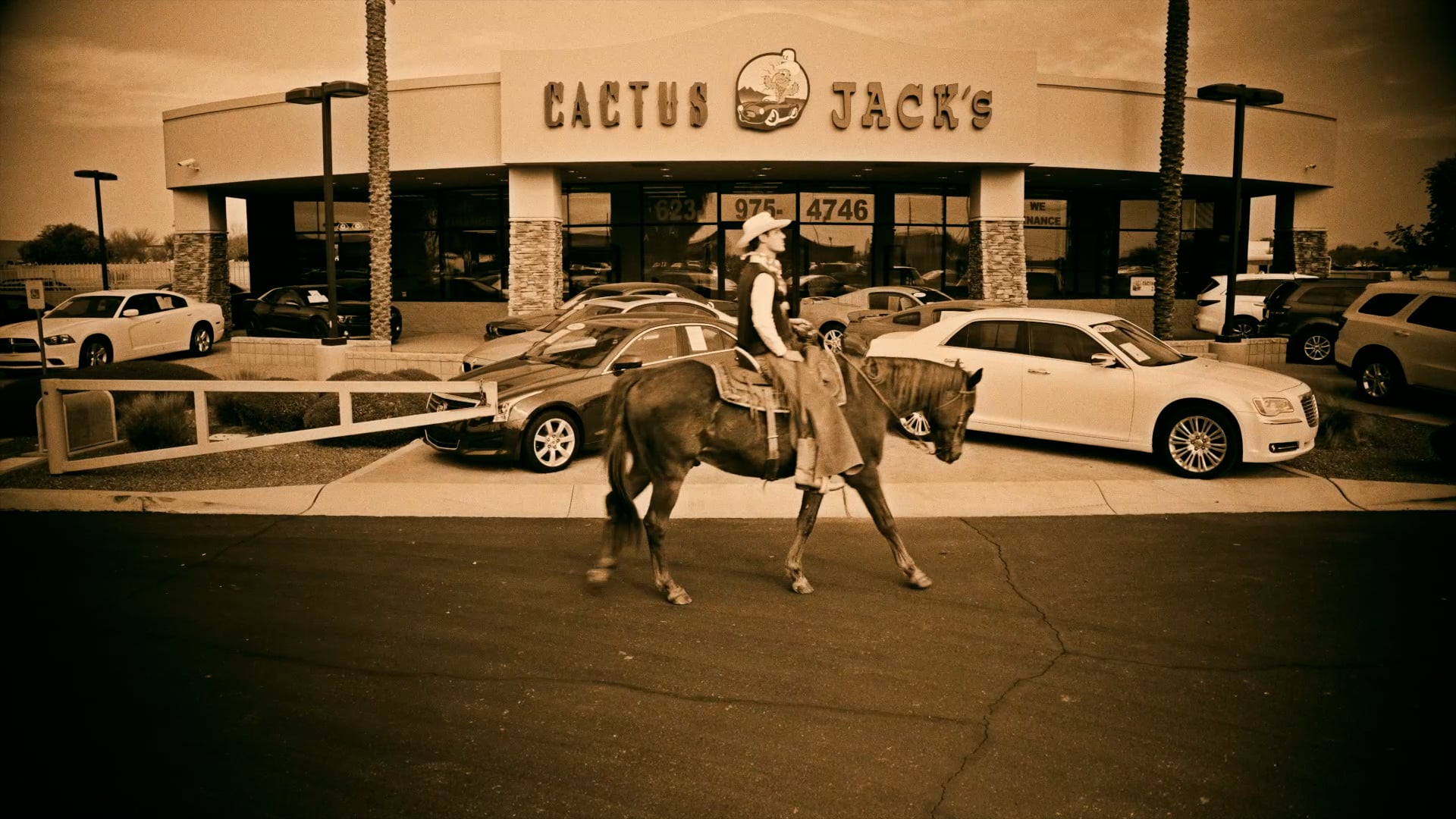 Cactus Jacks