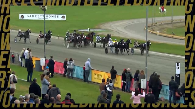 NZB Standardbred Yearling Sale 2022 - Review Show