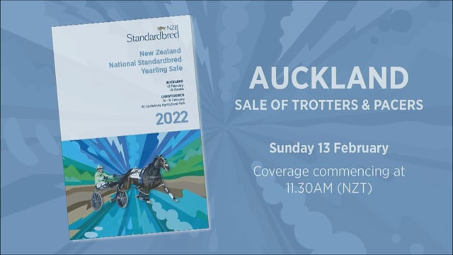 NZB Standardbred Yearling Sale 2022 - Preview Show