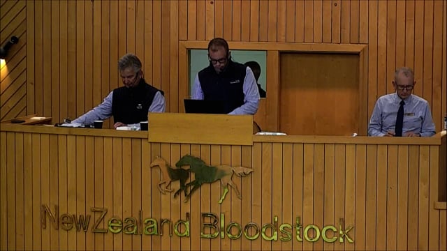 NZB Standardbred Yearling Sale 2022 - Lots 60-65