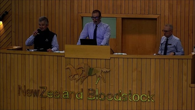 NZB Standardbred Yearling Sale 2022 - Lots 21-26