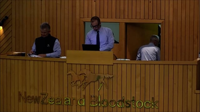 NZB Standardbred Yearling Sale 2022 - Lots 27-34