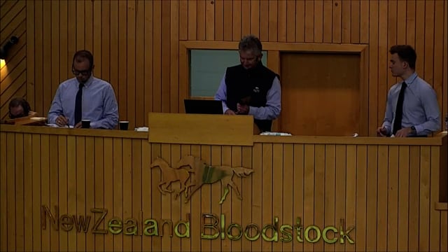 NZB Standardbred Yearling Sale 2022 - Lots 42-48