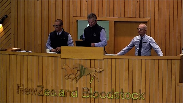 NZB Standardbred Yearling Sale 2022 - Lots 102-107