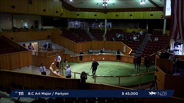 NZB Standardbred Yearling Sale 2022 - Lots 108-113