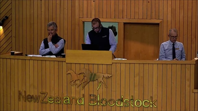 NZB Standardbred Yearling Sale 2022 - Lots 114-121