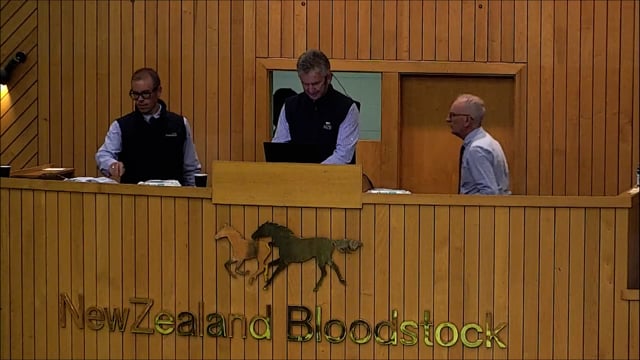 NZB Standardbred Yearling Sale 2022 - Lots 129-138