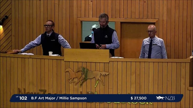NZB Standardbred Yearling Sale 2022 - Lots 102 to 107