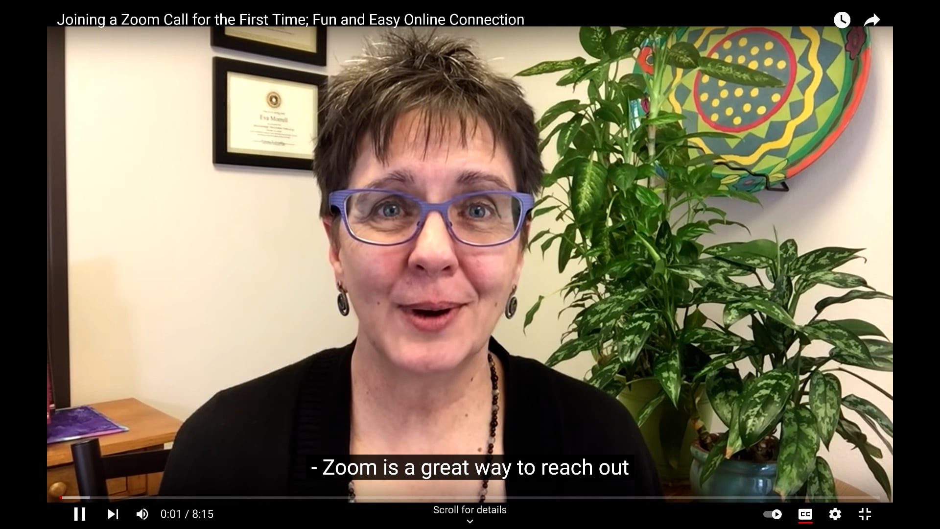 How to Use Zoom on Vimeo