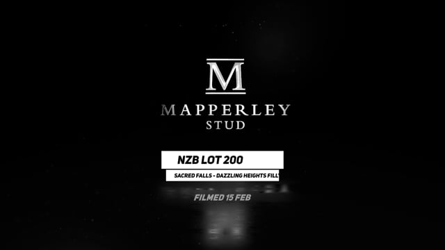 Lot 200