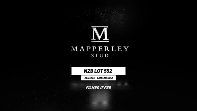 Lot 552